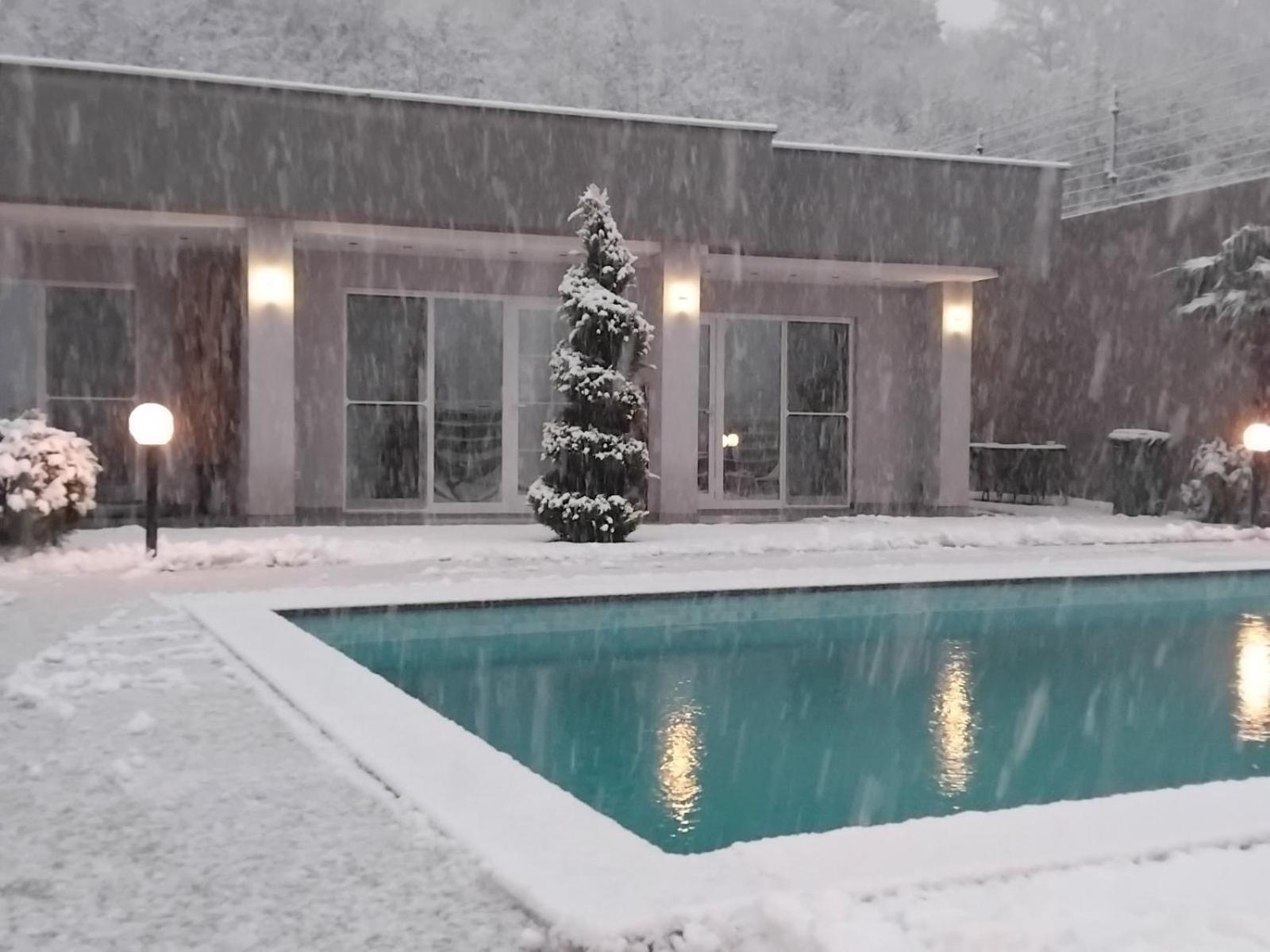 Villa Dimo Topal Ohrid Bagian luar foto