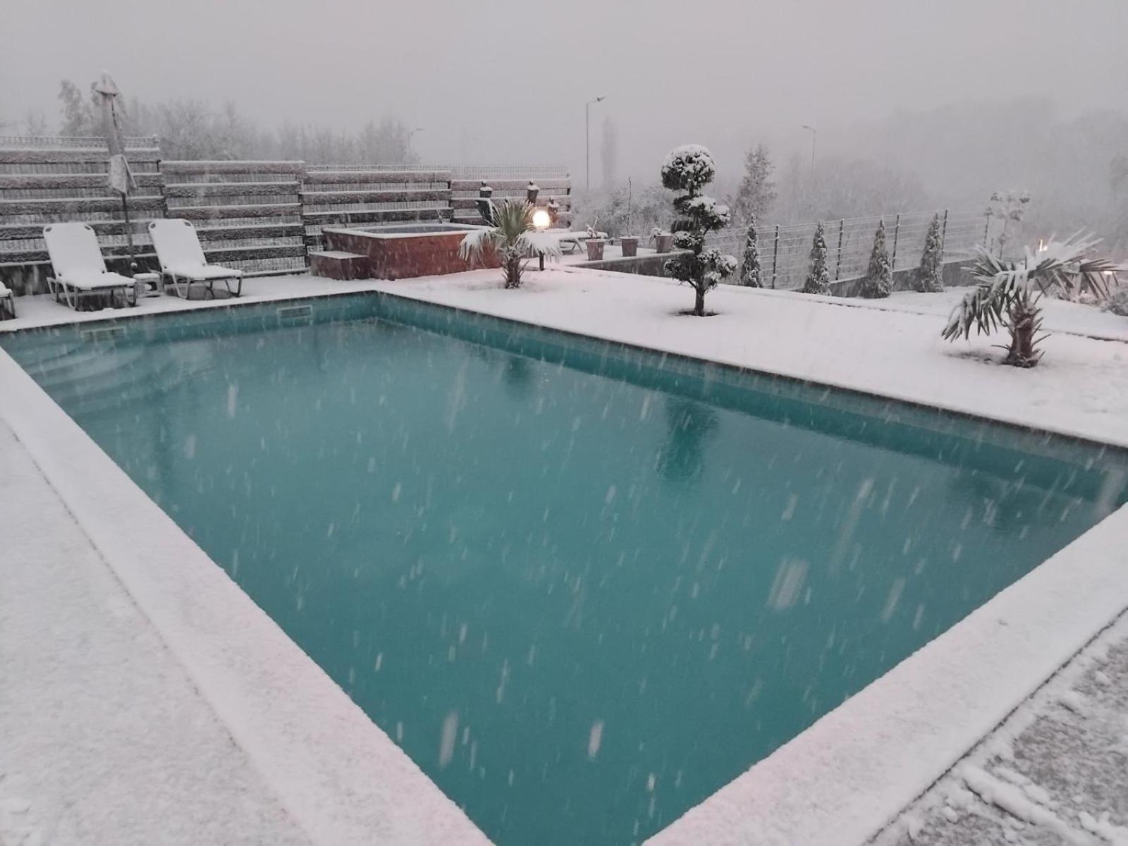 Villa Dimo Topal Ohrid Bagian luar foto