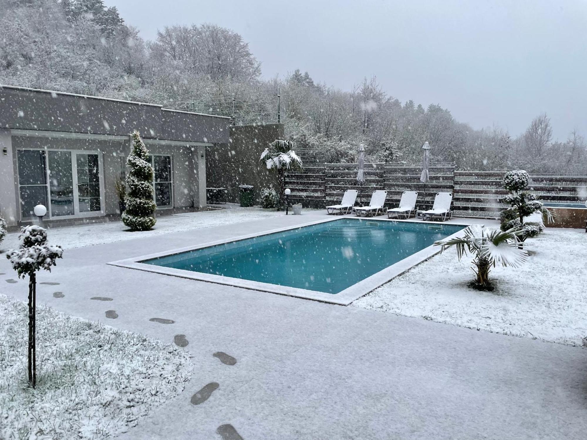 Villa Dimo Topal Ohrid Bagian luar foto